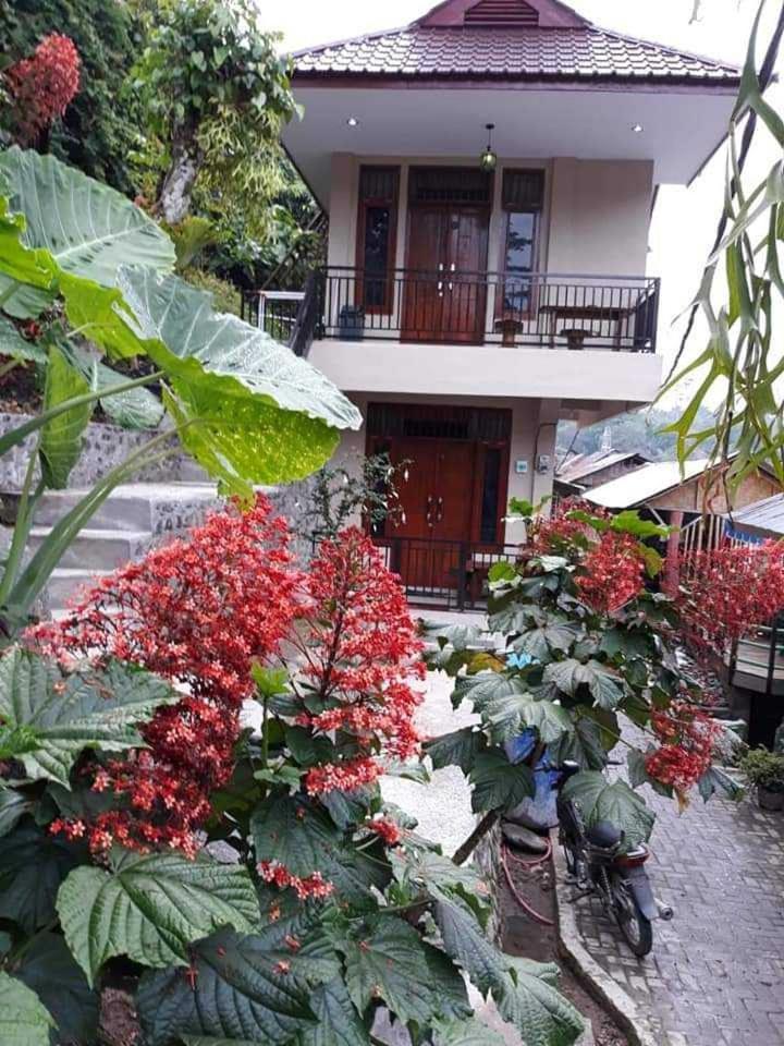 Bukit Lawang Hotell Exteriör bild